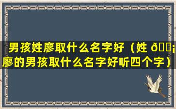 男孩姓廖取什么名字好（姓 🐡 廖的男孩取什么名字好听四个字）